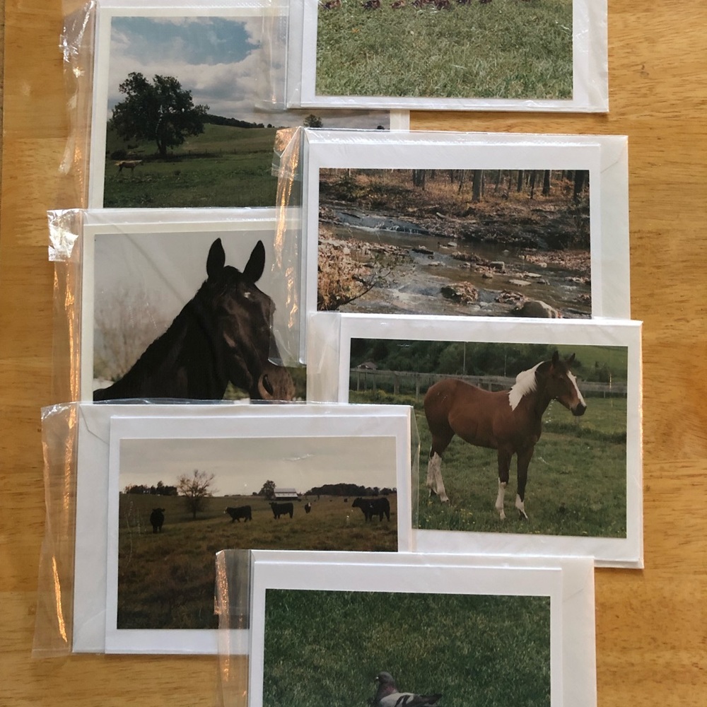 Handcrafted Set of 7 Photo Notecards “Animals”